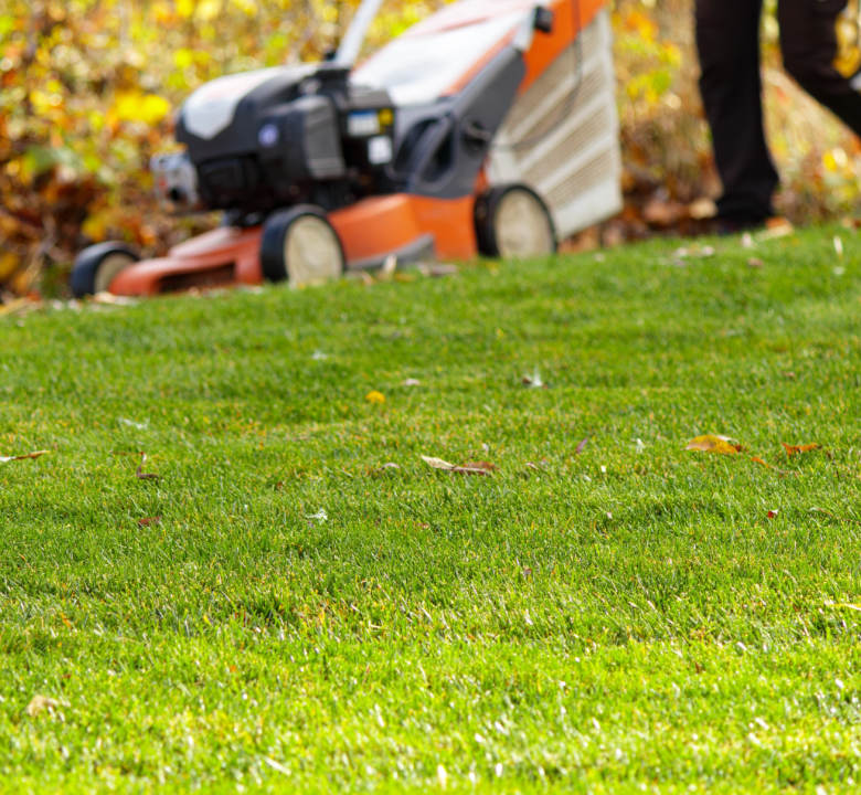 Articles de jardin | Serres Pessleux