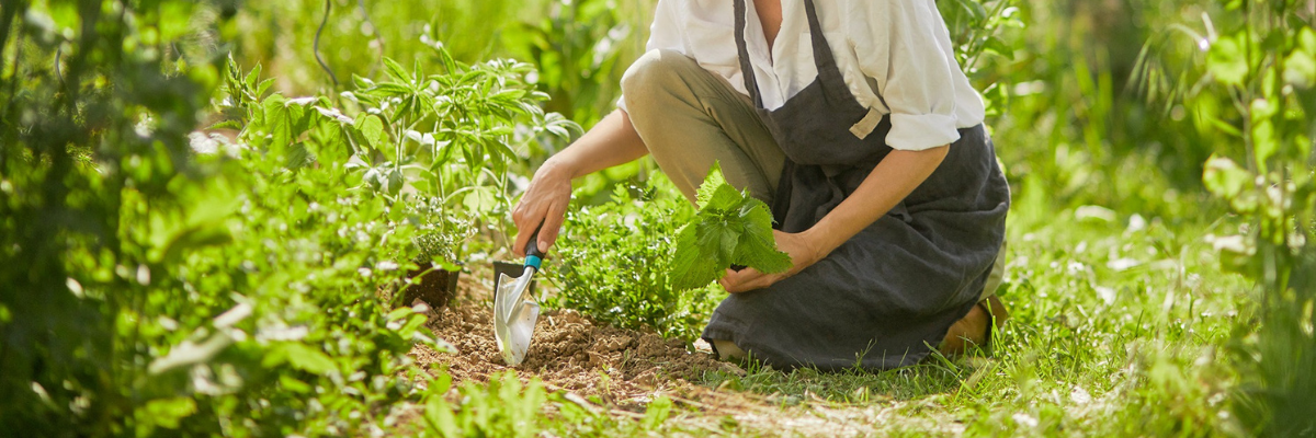 Que vous soyez un jardinier expérimenté ou que vous souhaitiez simplement vous amuser en jardinant, chez Serres Pessleux, nous nous efforçons de rendre le jardinage facile et agréable.