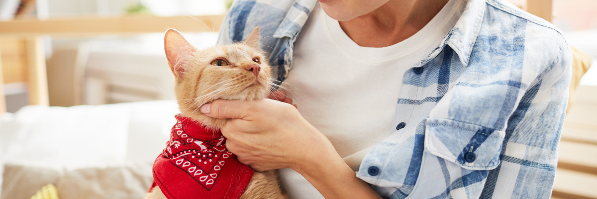 Notre équipe d'experts est toujours à votre disposition pour vous conseiller sur le choix de la nourriture et des accessoires adaptés à votre chat.