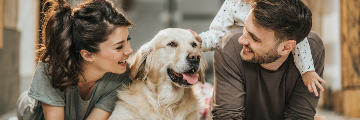 Chez Serres Pessleux, nous sommes toujours prêts à vous donner des conseils d'experts sur la nourriture et les accessoires pour votre chien.