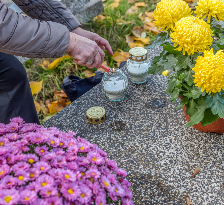 La Toussaint et les chrysanthèmes | Serres Pessleux