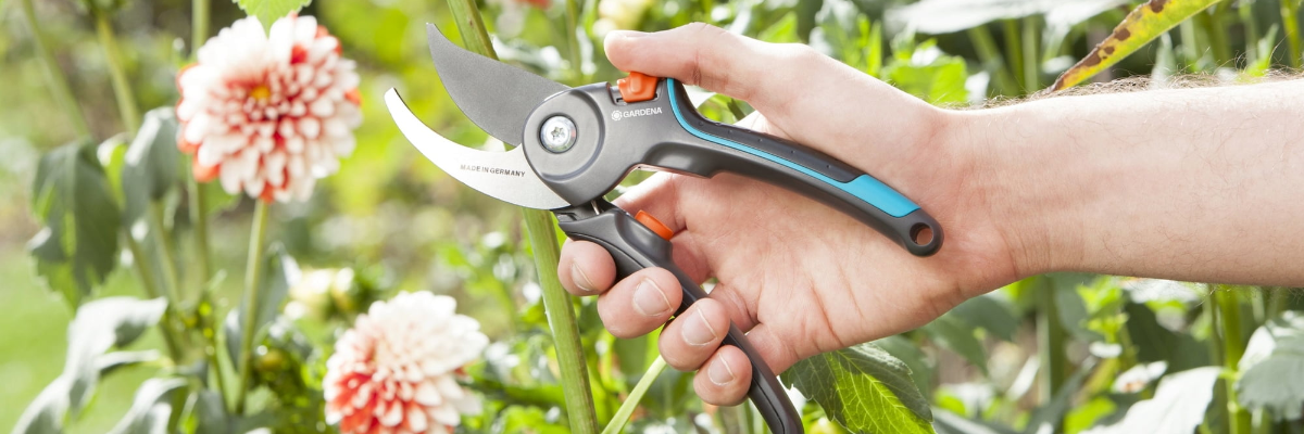 Notre équipe d'experts est prête à vous conseiller sur le choix des outils de jardinage les mieux adaptés à vos besoins spécifiques.