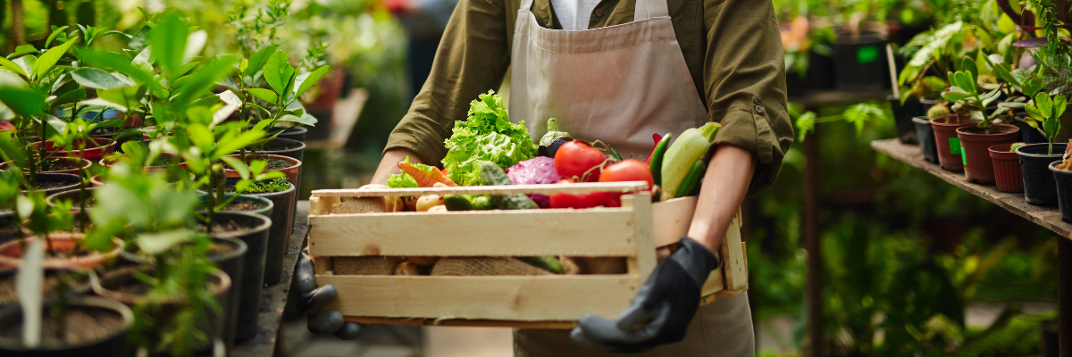 Chez Serres Pessleux, nous sommes heureux de vous aider à vous lancer dans l'aventure du potager.