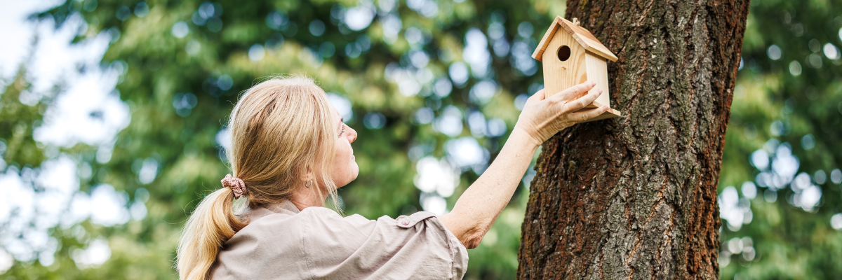 Oiseaux du jardin | Serres Pessleux