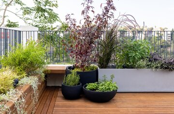 Balcon Balcon