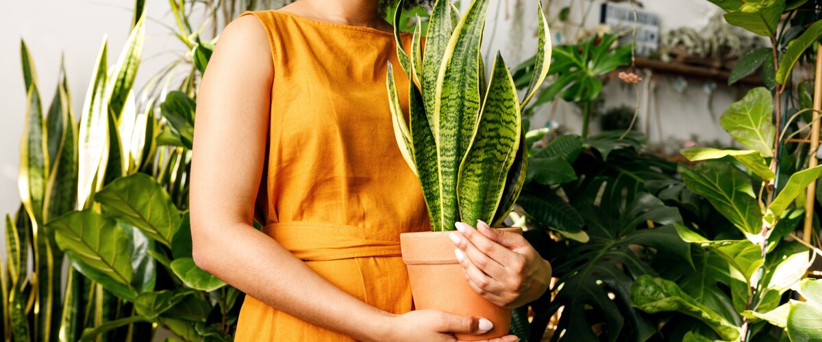 Fermé jusqu’au 23 janvier inclus.