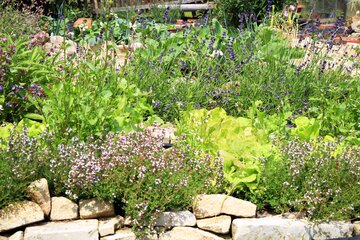 Jardinage biologique Jardinage biologique