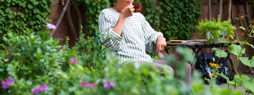 Les herbes aromatiques et leur utilisation Les herbes aromatiques et leur utilisation