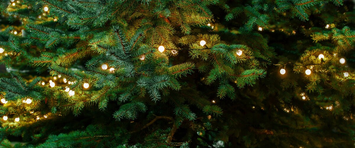 Bientôt Noël… Mettez-vous dans l’ambiance !