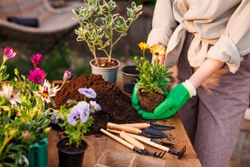 Outils de jardinage de base
