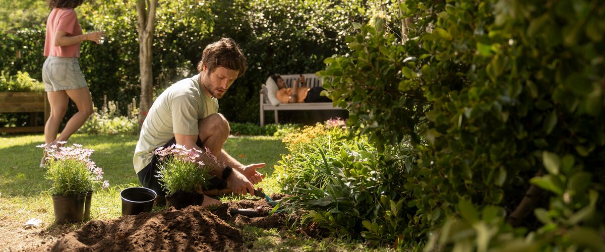 Prêt pour la croissance et la floraison !