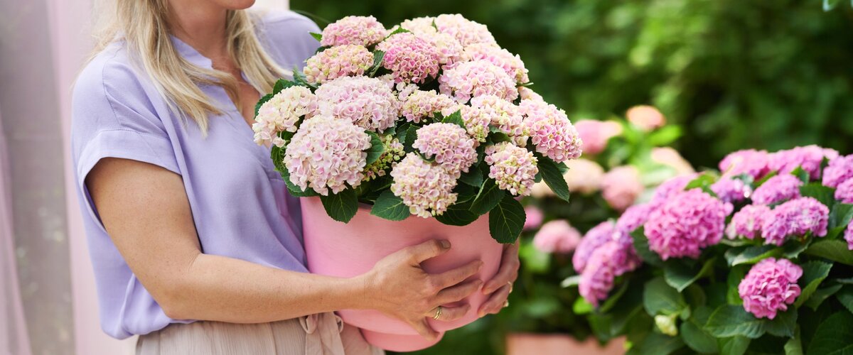 Allons profiter du jardin !