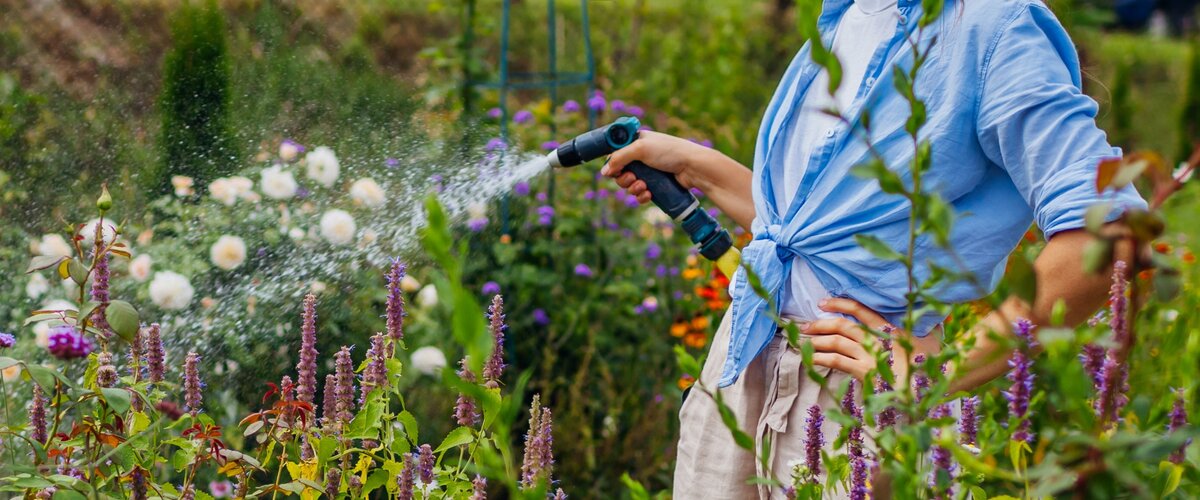 Allons profiter du jardin !