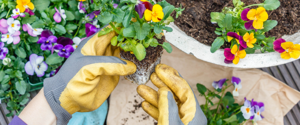 VISITEZ NOTRE JARDINERIE !