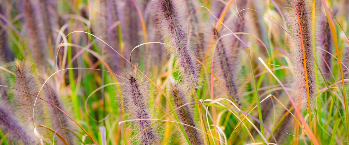 VISITEZ NOTRE JARDINERIE !