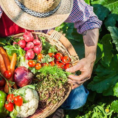 Potager | Serres Pessleux à Bois de Villers